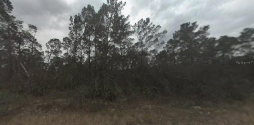 Land in Sebring, Florida № 2165206