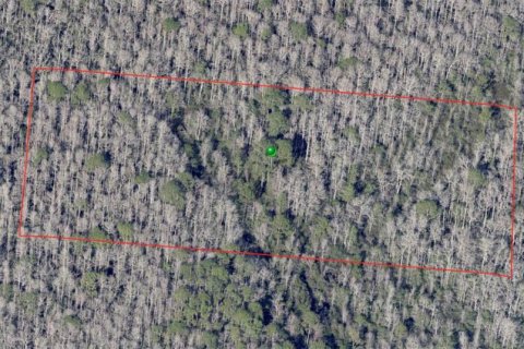 Land in De Leon Springs, Florida № 2163485