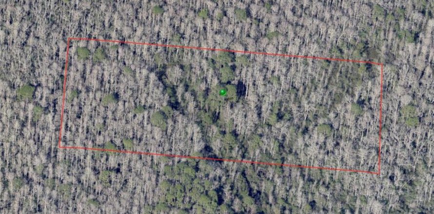 Land in De Leon Springs, Florida № 2163485