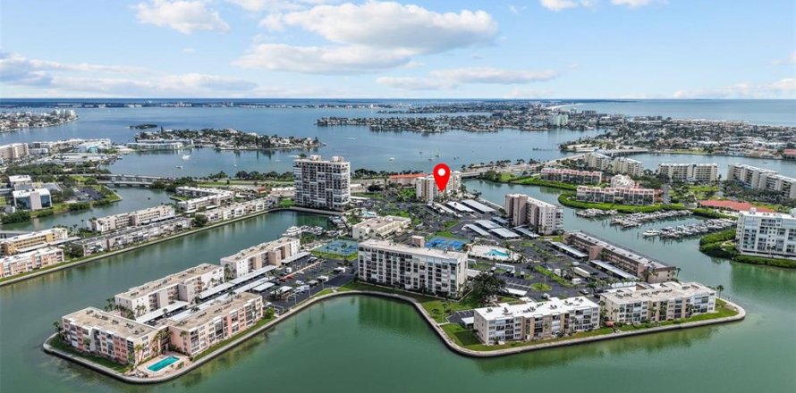Condo in South Pasadena, Florida, 2 bedrooms № 2214862