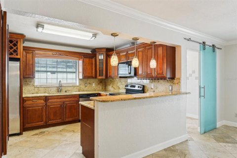 House in Tampa, Florida 4 bedrooms, 222.5 sq.m. № 1746851 - photo 24