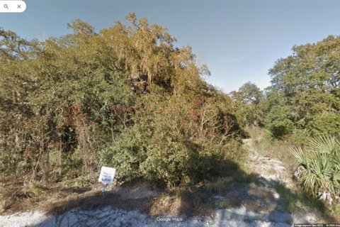 Land in Homosassa, Florida № 2162321