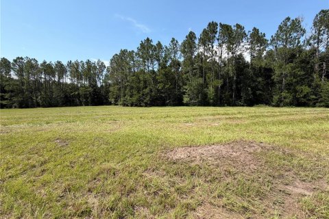 Terrain à vendre à Lake City, Floride № 2156086 - photo 5