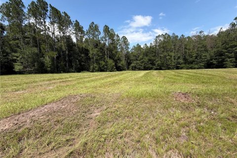 Terrain à vendre à Lake City, Floride № 2156086 - photo 6