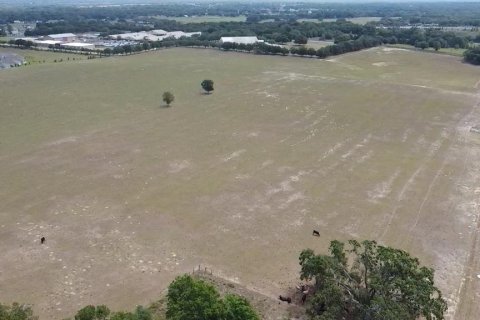 Land in Mount Dora, Florida № 1675109 - photo 2