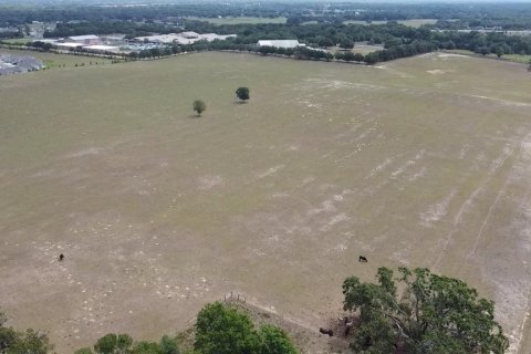 Land in Mount Dora, Florida № 1675109 - photo 3