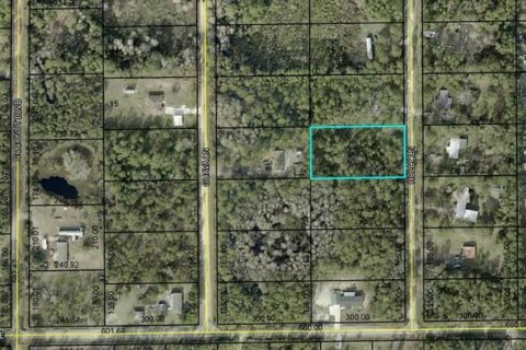 Land in Bunnell, Florida № 2160937