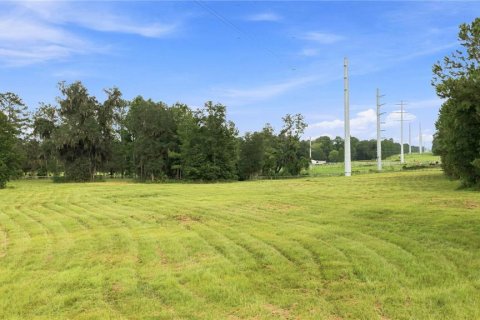 Land in Williston, Florida № 2322741 - photo 6