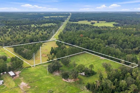 Land in Williston, Florida № 2322741 - photo 10