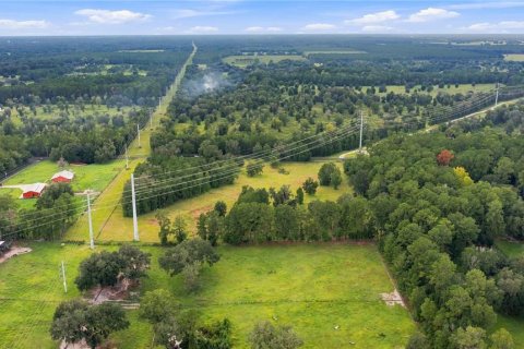 Land in Williston, Florida № 2322741 - photo 9