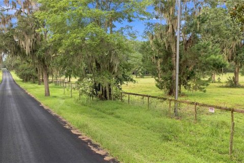 Land in Williston, Florida № 2322741 - photo 13