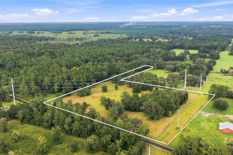 Land in Williston, Florida № 2322741 - photo 8