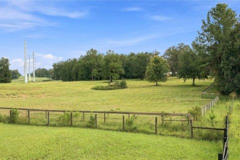 Land in Williston, Florida № 2322741 - photo 4