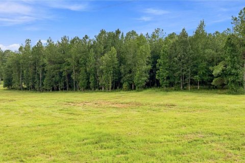Land in Williston, Florida № 2322741 - photo 3