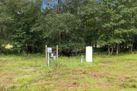 Land in Williston, Florida № 2322741 - photo 7