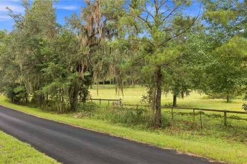 Land in Williston, Florida № 2322741 - photo 11