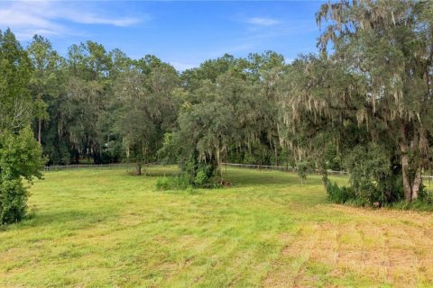 Land in Williston, Florida № 2322741 - photo 2