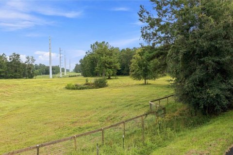 Land in Williston, Florida № 2322741 - photo 5