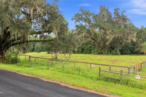 Land in Williston, Florida № 2322741 - photo 12