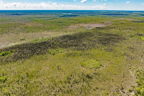 Land in Naples, Florida № 1909169 - photo 6
