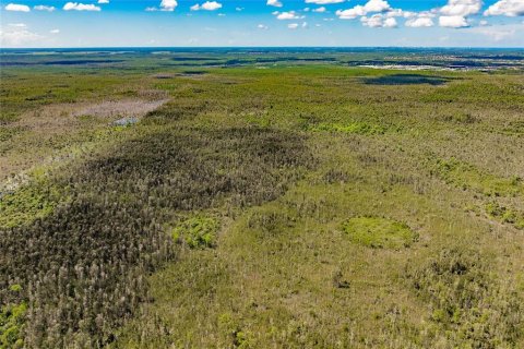 Land in Naples, Florida № 1909169 - photo 2