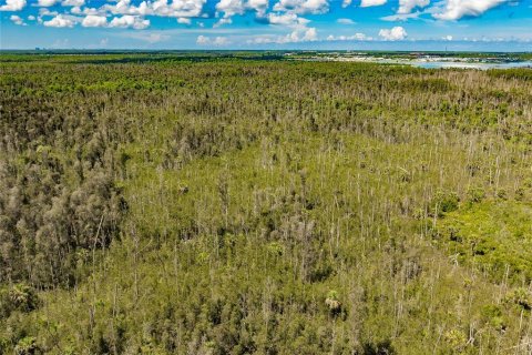 Land in Naples, Florida № 1909169 - photo 10