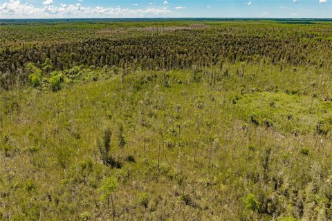 Land in Naples, Florida № 1909169 - photo 14