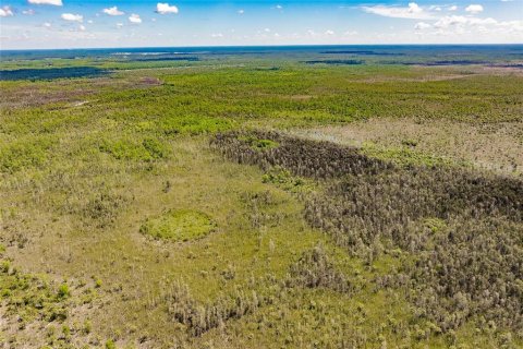 Land in Naples, Florida № 1909169 - photo 5