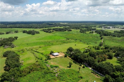 Land in Plant City, Florida № 1869174 - photo 18