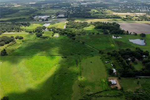 Land in Plant City, Florida № 1869174 - photo 17