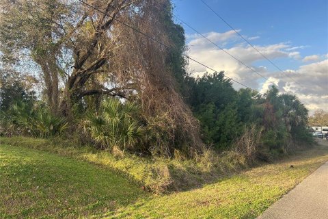 Land in North Port, Florida № 2162195