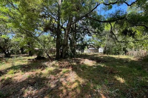 Land in Tampa, Florida № 1884256 - photo 2