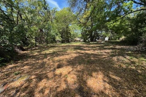 Land in Tampa, Florida № 1884256 - photo 1