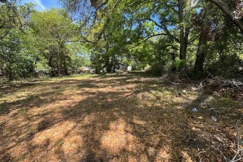 Land in Tampa, Florida № 1884256 - photo 3