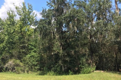 Land in Myakka City, Florida № 212832 - photo 1