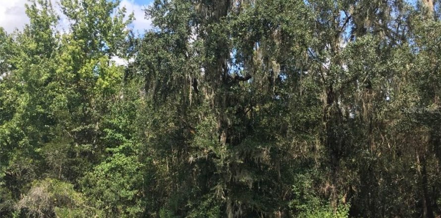 Land in Myakka City, Florida № 212832