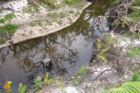 Land in Myakka City, Florida № 212832 - photo 6