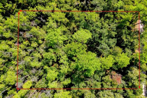 Land in Citrus Springs, Florida № 2366645
