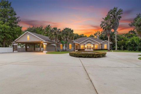 House in Hawthorne, Florida 4 bedrooms, 280.75 sq.m. № 2147473