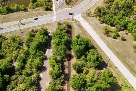 Land in Rotonda, Florida № 2163430 - photo 11