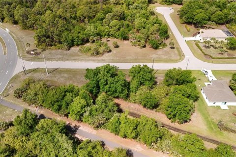 Land in Rotonda, Florida № 2163430 - photo 10