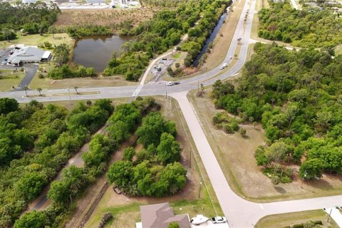 Land in Rotonda, Florida № 2163430 - photo 17