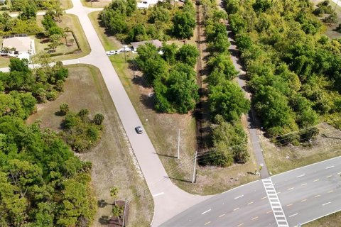 Land in Rotonda, Florida № 2163430 - photo 6