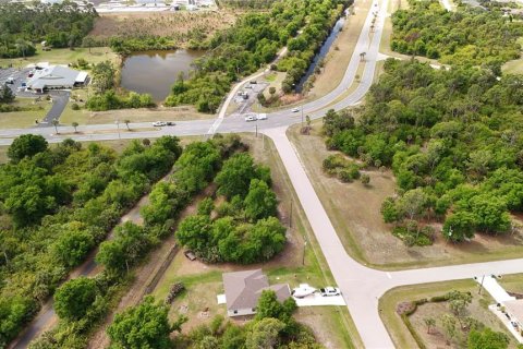 Land in Rotonda, Florida № 2163430 - photo 18