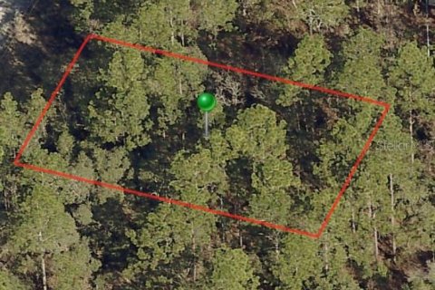 Terreno en Citrus Springs, Florida № 2161027