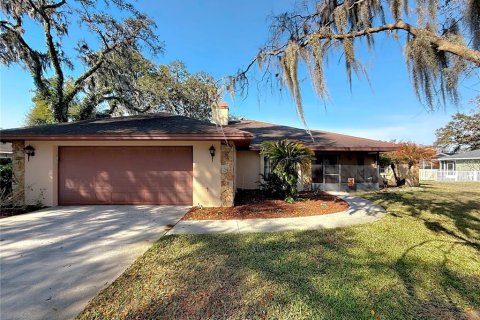 House in Valrico, Florida 3 bedrooms, 220.46 sq.m. № 2117367