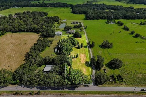 Land in Plant City, Florida № 1856556 - photo 4