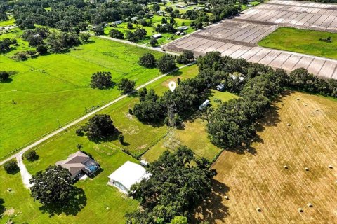 Land in Plant City, Florida № 1856556 - photo 8