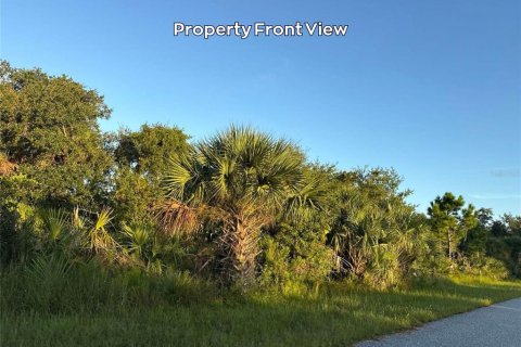 Land in Port Charlotte, Florida № 2212307 - photo 4
