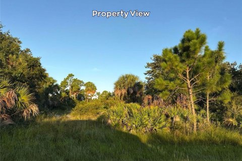 Land in Port Charlotte, Florida № 2212307 - photo 3